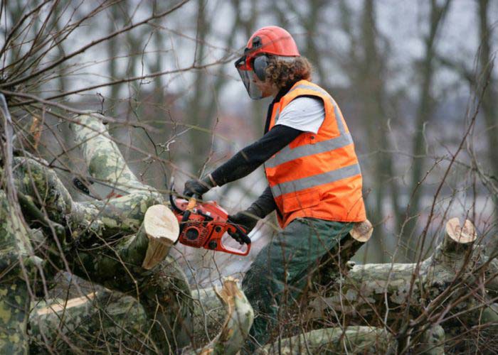 gence M Com Geiq Paysages ouvrier forestier